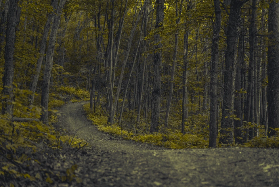 Unleash Your Wanderlust: Exciting Road Trips from Naugatuck, CT for Adventure Seekers