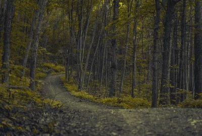Unleash Your Wanderlust: Exciting Road Trips from Naugatuck, CT for Adventure Seekers